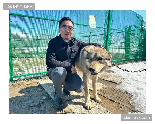 刘洋家的狗都比我会理财