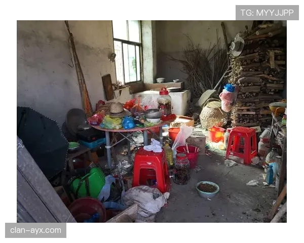 陈艺文这生活跟想象差10万条街，家里到底怎么乱成这样？